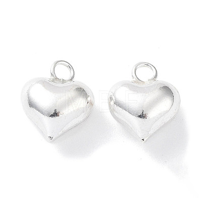 925 Sterling Silver Charms STER-H106-01A-S-1