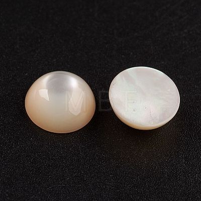 Natural White Shell Mother of Pearl Shell Cabochons SSHEL-G014-13-1