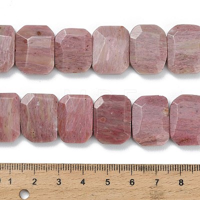 Natural Rhodonite Beads Strands G-C285-A05-01-1
