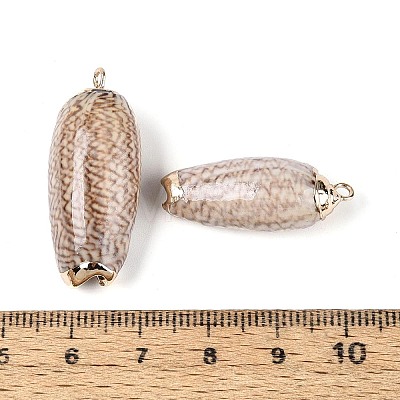 Electroplate Natural Sea Shell Pendants SSHEL-T018-04-1