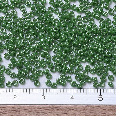 MIYUKI Round Rocailles Beads X-SEED-G007-RR0431-1