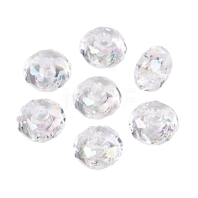 Transparent Acrylic European Beads OACR-E033-25M2-1