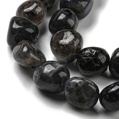 Natural Iolite Beads Strands G-C038-02A-02-1