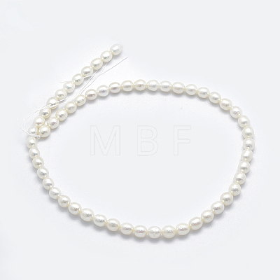 Natural Cultured Freshwater Pearl Beads Strands PEAR-K003-23D-01-1