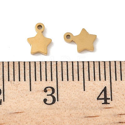 304 Stainless Steel Charms STAS-K306-15B-G-1