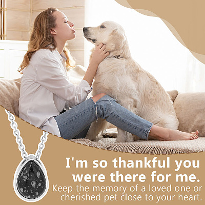 Natural Snowflake Obsidian Teardrop Urn Ashes Pendant 304 Stainless Steel Cable Chain Necklaces NJEW-OC0001-09A-1