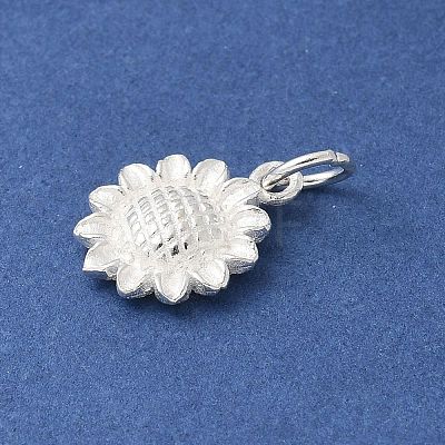 S925 Sterling Silver Charm STER-H115-11C-S-1