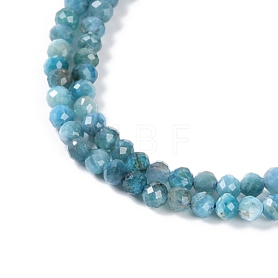 Natural Apatite Beads Strands G-P542-A01-02-1