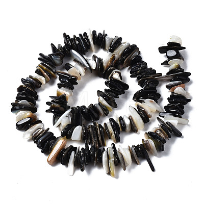 Natural Black Lip Shell Beads Strands SSHEL-S266-010-1