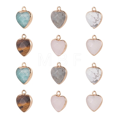 12Pcs 6 Style Electroplate Natural Gemstone Pendants G-LS0002-09-1