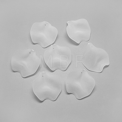 Transparent Acrylic Pendants X-FACR-S031-26mm-SB518-1
