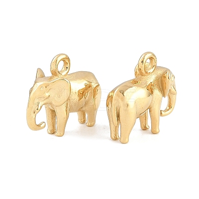 304 Stainless Steel Charms SA-CBA02E8-09G-1