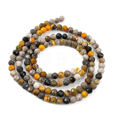 Natural Bumblebee Jasper Beads Strands G-L597-C03-01-1