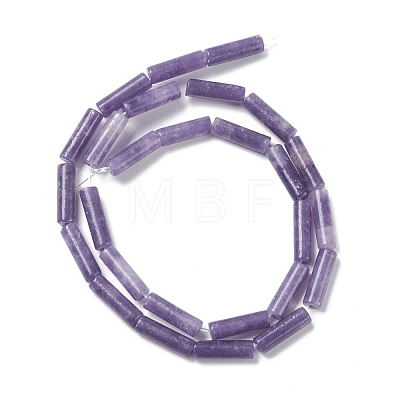 Natural Lepidolite/Purple Mica Stone Beads Strands G-H269-03-1