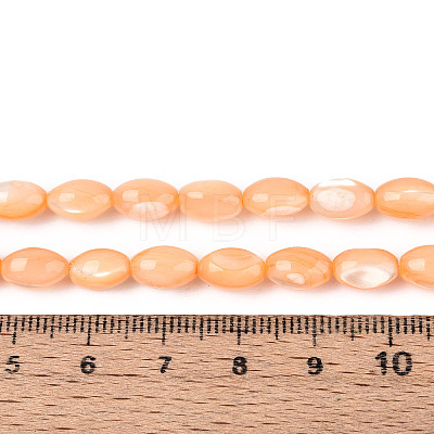 Natural Trochus Shell Beads Strands SHEL-K006-19-01G-1