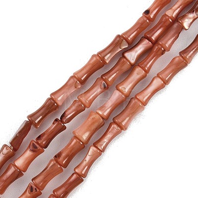 Natural Freshwater Shell Beads Strands SHEL-G013-01A-1