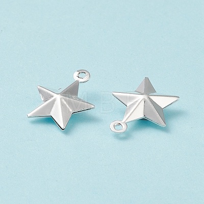 304 Stainless Steel Pendants STAS-I138-12S-1