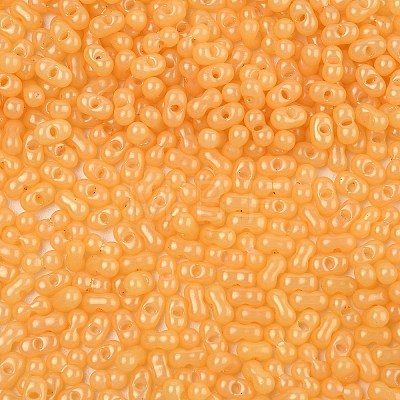 Baking Paint Glass Seed Beads SEED-L011-09A-04-1