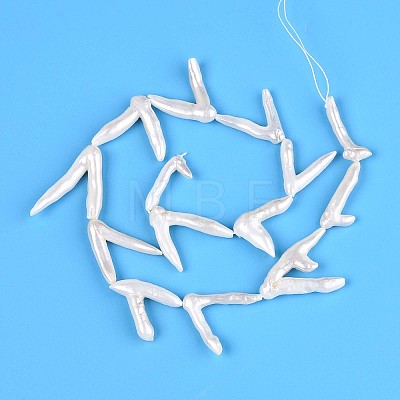 Natural Baroque Pearl Keshi Pearl Beads Strands PEAR-N021-16A-1