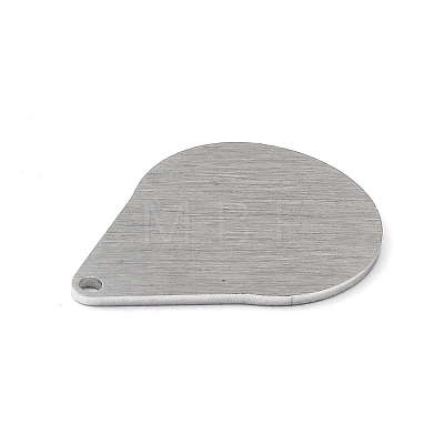 Tarnish Resistant 304 Stainless Steel Pendants LS-STAS-F271-05E-P-1