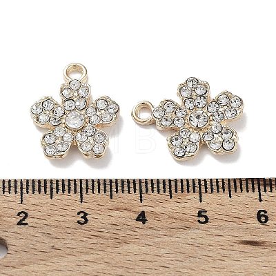 Alloy with Crystal Rhinestone Pendants FIND-C042-04G-1