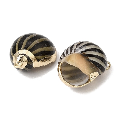 Brass & Natural Shell Pendants SH-CBA27C9-01-1