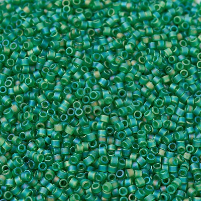 MIYUKI Delica Beads Small X-SEED-J020-DBS0858-1