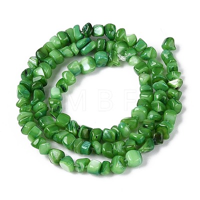 Natural Freshwater Shell Beads Strands SHEL-N037-04J-1