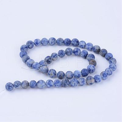 Natural Blue Spot Jasper Beads Strands G-Q462-10mm-06-1