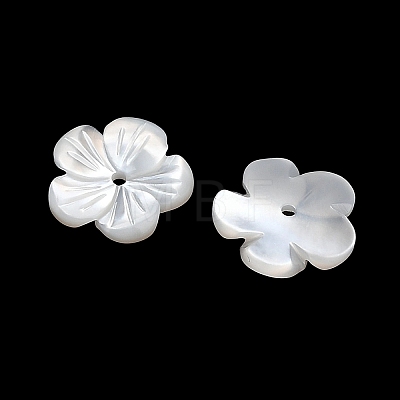 Natural White Shell Beads SH-CBA93AD-07B-1