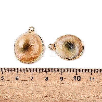 Natural Spiral Shell Pendants SSHEL-N038-41-1