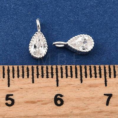 925 Sterling Silver Pave Clear Cubic Zirconia Charms STER-D306-04S-01-1