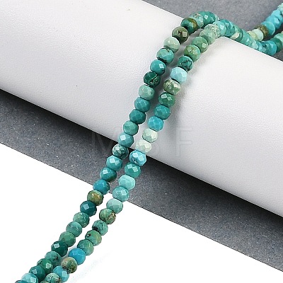 Natural Turquoise Dyed Beads Strands G-H070-A02-01-1