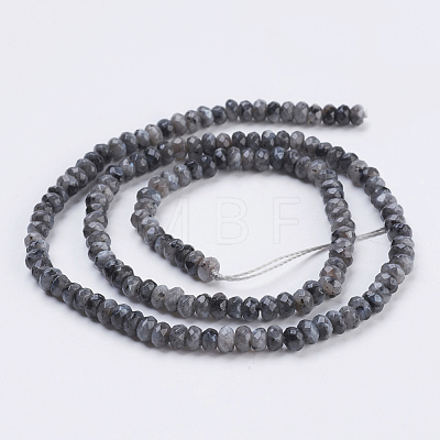 Natural Larvikite Beads Strands G-K255-19-1