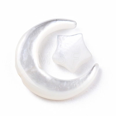 Natural Natural White Shell Beads Sets SSHEL-N032-52A-01-1