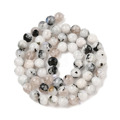 Natural Rainbow Moonstone Beads Strands G-Q1001-A05-02-01-1