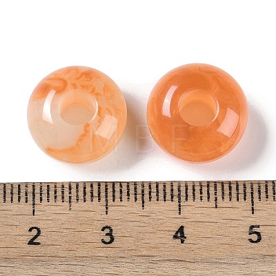 Two Tone Resin European Beads X-RESI-F055-09-1