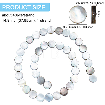 Natural Black Lip Shell Beads Strands SHEL-BC0001-025-1