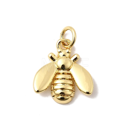 Brass Charms KK-I364-05G-05-1