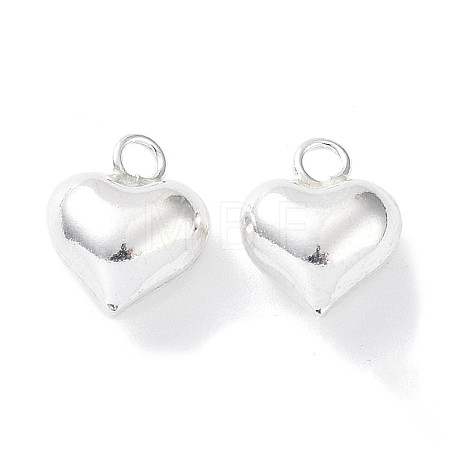 925 Sterling Silver Charms STER-H106-01A-S-1