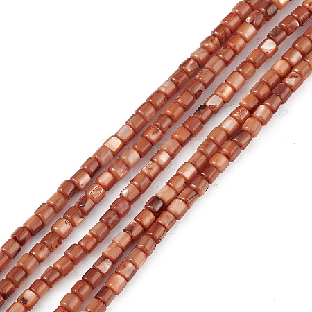 Natural Freshwater Shell Dyed Beads Strands SHEL-M018-14-02-1