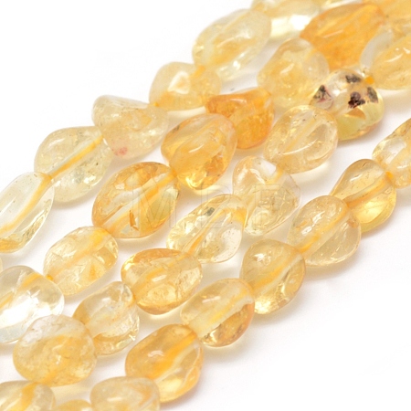 Natural Citrine Beads Strands G-P331-03A-1