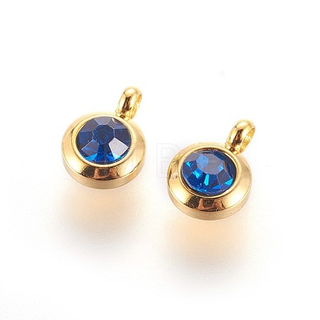 304 Stainless Steel Rhinestone Charms STAS-P237-10G-08-1