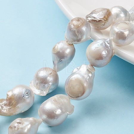 Natural Baroque Pearl Keshi Pearl Beads Strands PEAR-K004-20-1