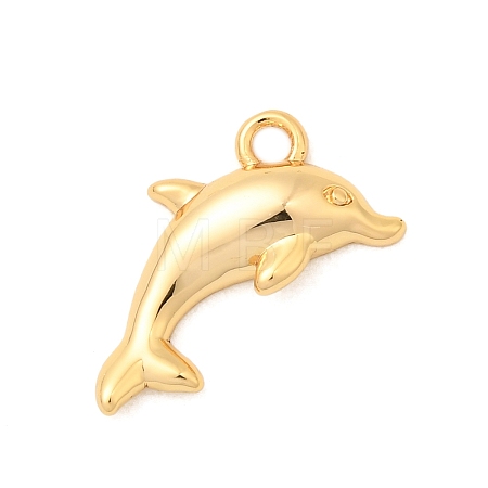 Brass Charms X-KK-C117-01A-G-1