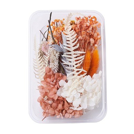 Dried Flowers DIY-D052-24-1
