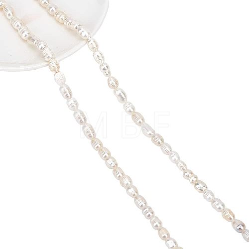  2 Strands Grade B Natural Cultured Freshwater Pearl Beads Strands PEAR-NB0001-71-1