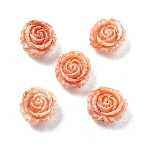 Synthetic Shell Dyed Carved Beads SHEL-U001-04-1