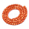 Natural Freshwater Shell Beads Strands X-SHEL-N003-24-B06-2