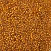 TOHO Round Seed Beads X-SEED-TR08-0030F-2